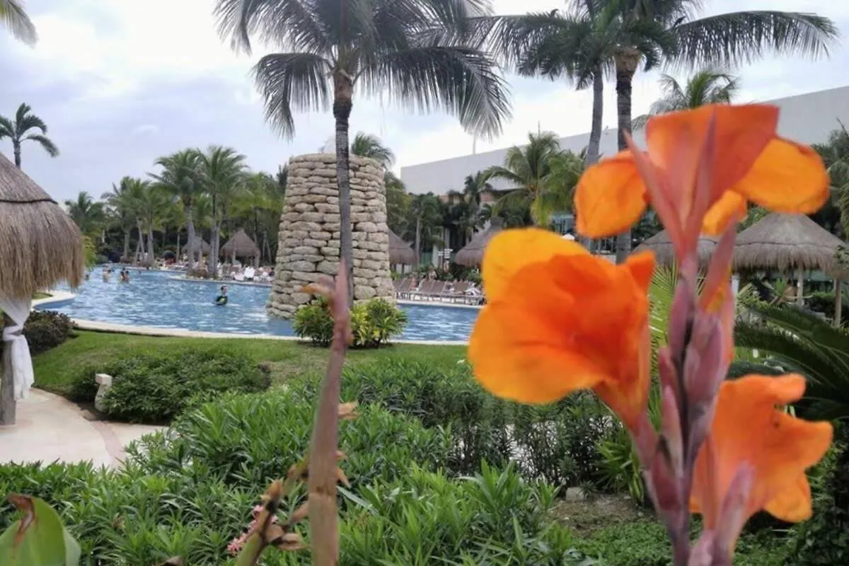 2Bd Grand Bliss Vidanta Resort Riviera Maya Playa del Carmen